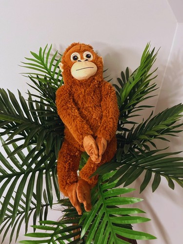 Punch orangutan djungeskog - punch,