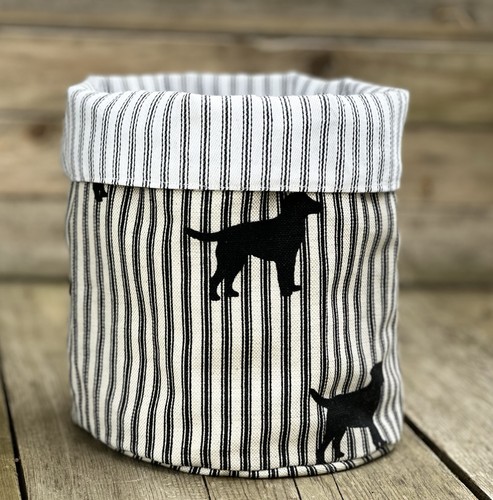 Emily bond black labrador - emily,