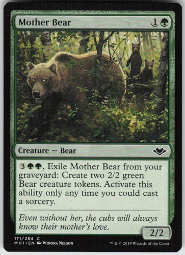 Mother bear 171 common modern - bear,