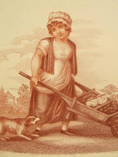 1-Antique sepia stipple London Cries! engraving by Samuel and Joseph Fuller 1812