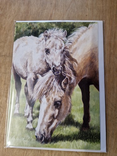 Miniature shetland ponies - miniature,