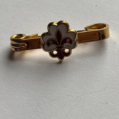 Scout metal badge fellowship - scout,