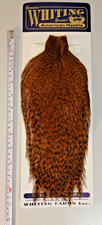 Whiting American Rooster Cape