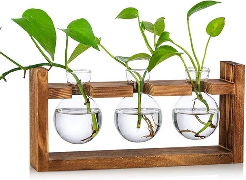 Pcs bulb vase glass - glass, sweet