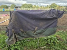 Turnout Rug 5'6/5'9