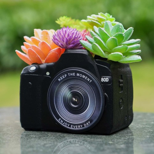 Camera planter for indoor - camera,