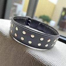 Studded Dog Collar 2" Wide