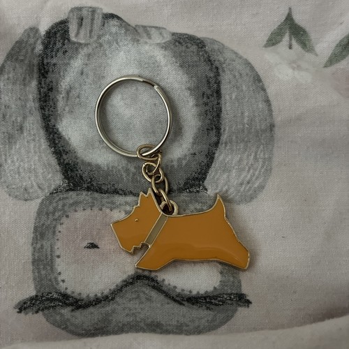 Orange with grey - grey, collar
