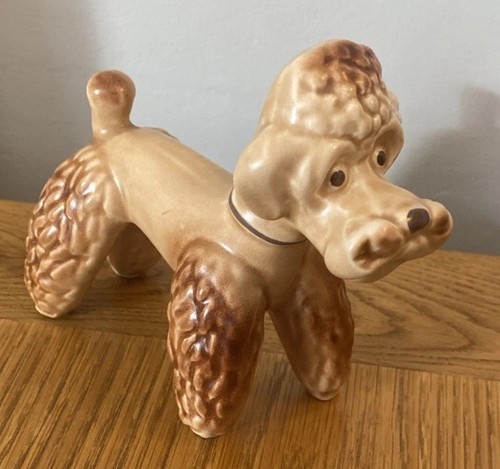 Vintage 1950 poodle - 1950’s,