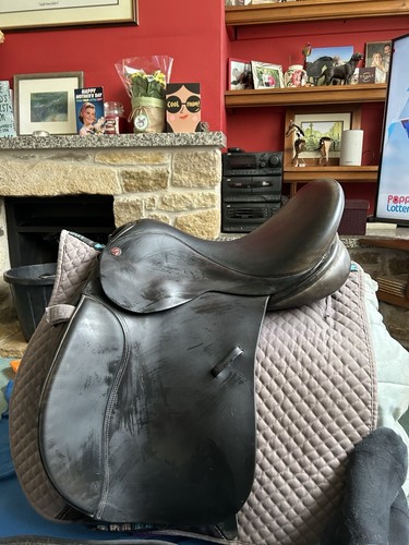 Saddle comfort - saddle,