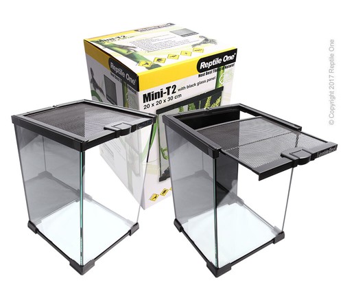 Stackable glass terrarium - stackable,