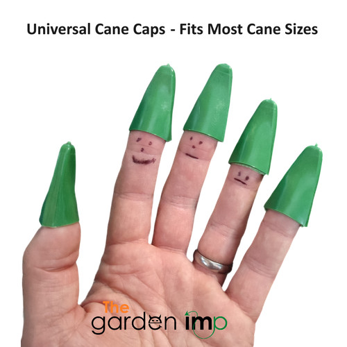 Cane caps rubber - cane, eye