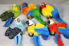 BUDGIE & PARROT FRIDGE MAGNETS