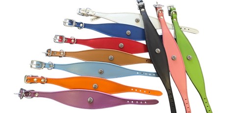 Sighthound leather collar - sighthound,