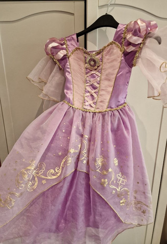 Disney princess dress