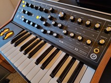 Moog Subsequent 25 Paraphonic