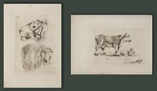 Sir Edwin Landseer TWO original early etchings done aged 7 and 10 lion and cow