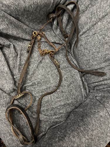 Horse bridle with bit - bridle,
