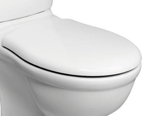 Replacement alternative toilet - alternative,