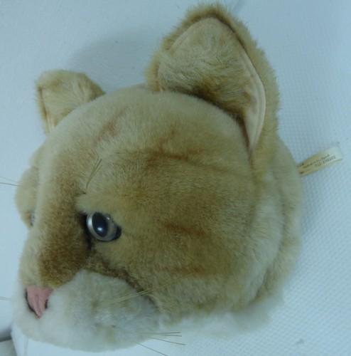 Bibib ginger tabby cat - cat, head