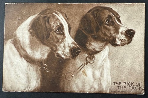 Hunting dogs heywood hardy - hunting,
