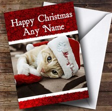 Beautiful Kitten Christmas