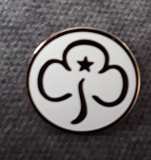 Girl guides promise badge 2005