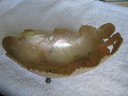 Fancy 1800s nautilus mother - nautilus, of