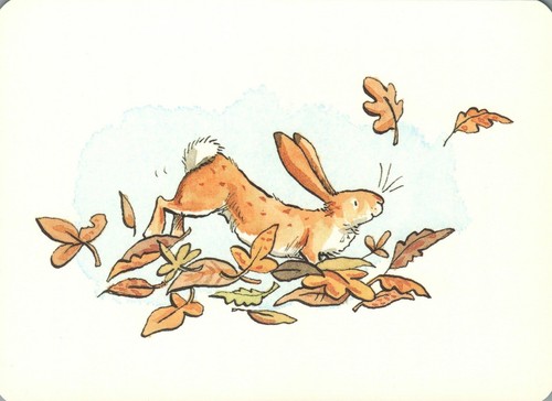Baby bunny plays with - baby,