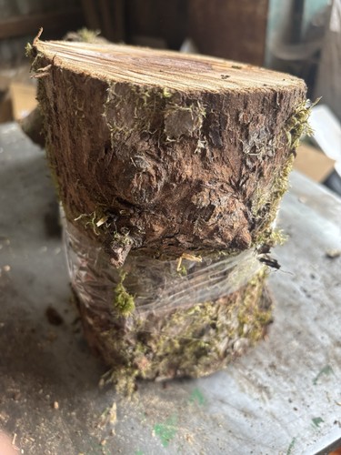 Apple wood block - apple, block,apple