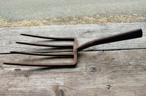 Vintage antique garden - antique,