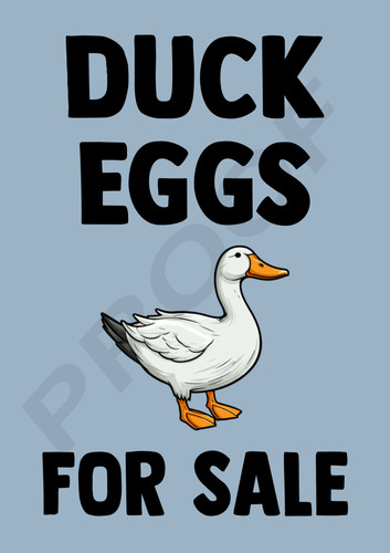 Duck eggs for sale farm - farm, metal