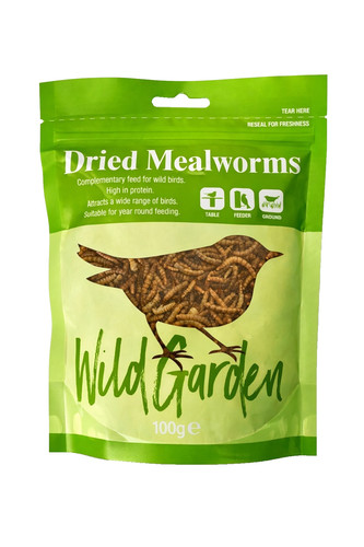 Dried meal worms wild - meal, bird
