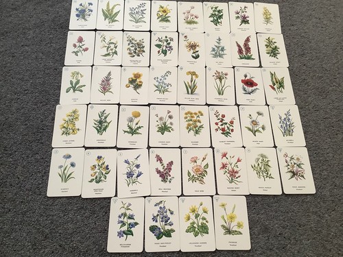 Wild flower card - card, game