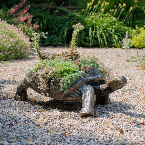 Large tortoise planter garden