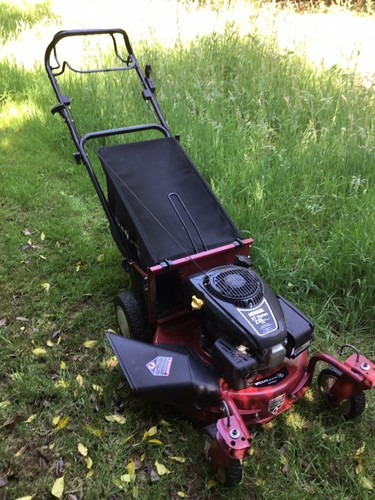 Lawn mower mulching - lawn,
