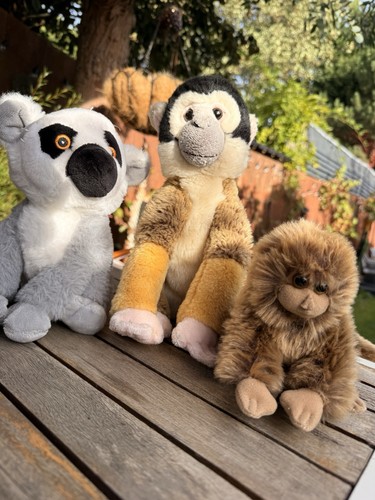 Squirrel monkey soft toy plush - monkey,