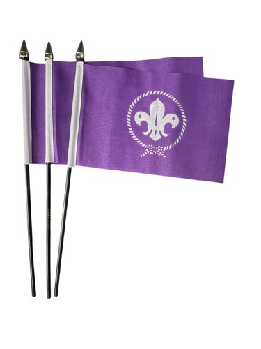 Scouts purple pack small - scouts, 3