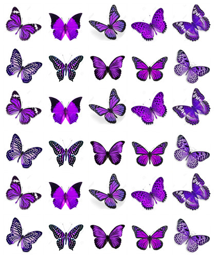 Purple butterflies 30 - purple,