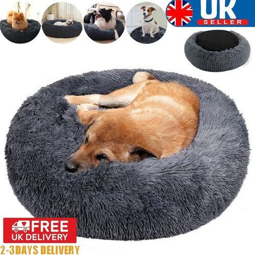 Plush donut dog - plush, calming
