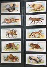 ADKIN-FULL SET- WILD ANIMALS