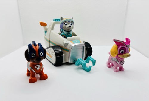 Paw patrol winter rescue - paw,