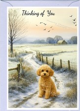 Poodle Apricot Dog Thinking of