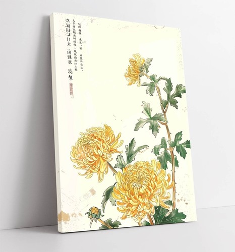 Yellow chrysanthemum flowers - yellow,