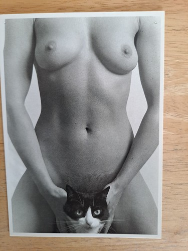 Topless model with cat black - topless,