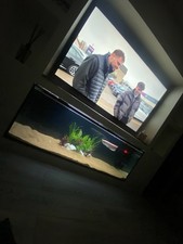 6ft Fish Tank this weekend