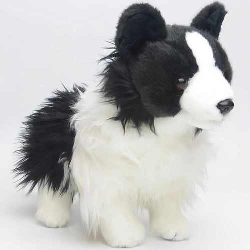 Dougles chase border collie - chase,