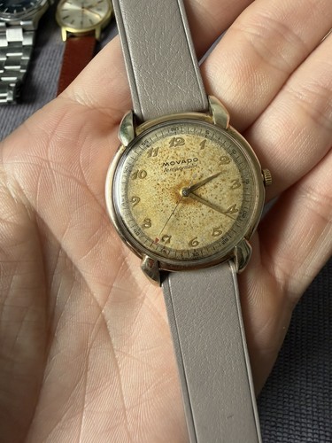 Movado tempomatic bumper - , 35mm