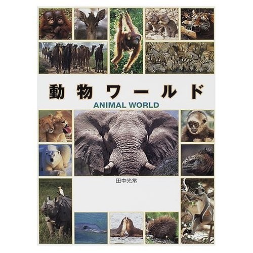 Animal world photo - animal,