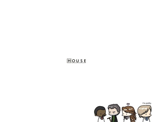 Show house 24965 - tv,